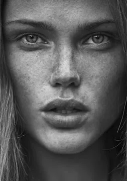 数据支持团队头像